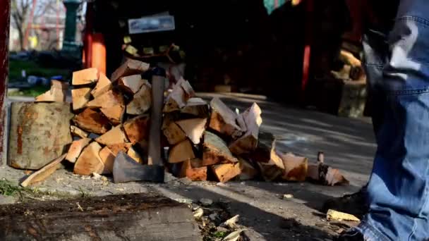 Hombre cortar troncos de madera con hacha — Vídeos de Stock