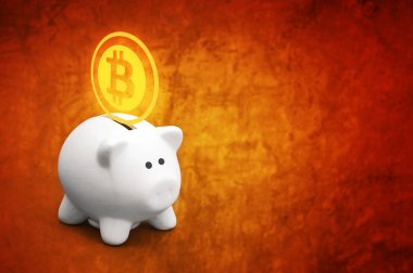 bitcoins domuz para bankada tasarruf