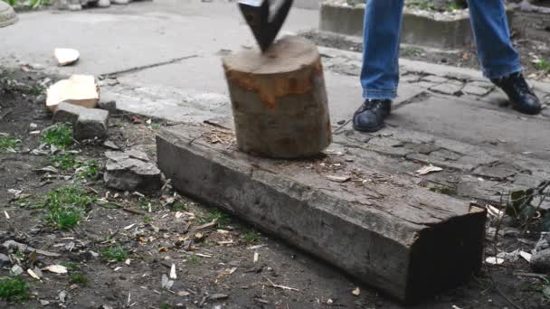 Mann hackt Holzstämme mit Axt — Stockvideo