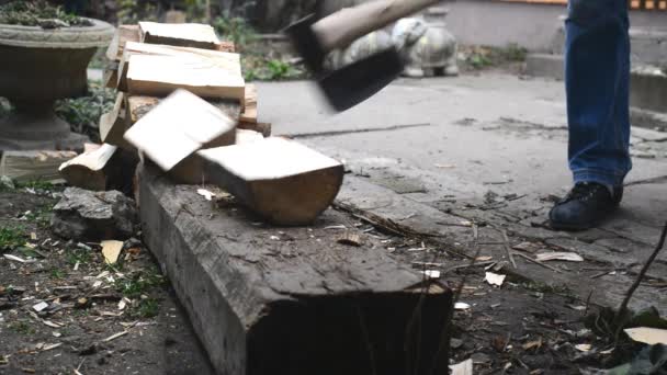 Hombre cortar troncos de madera con hacha — Vídeos de Stock