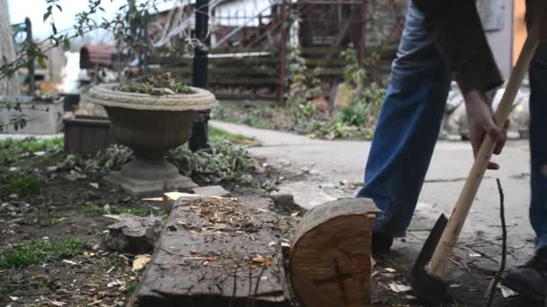 Man hakken hout logboeken met ax — Stockvideo