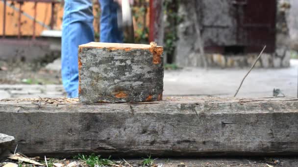 Hombre cortar troncos de madera con hacha — Vídeo de stock