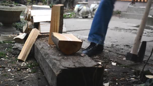 Hombre cortar troncos de madera con hacha — Vídeos de Stock