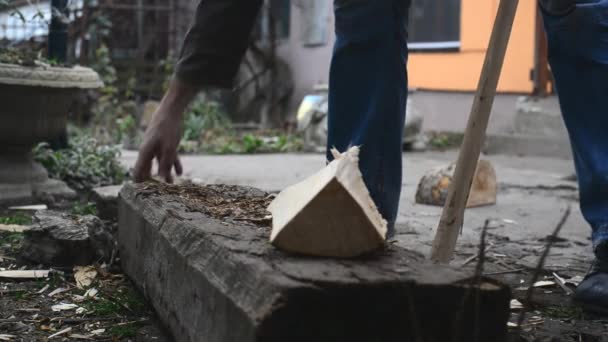 Homme coupant des bûches de bois avec hache — Video