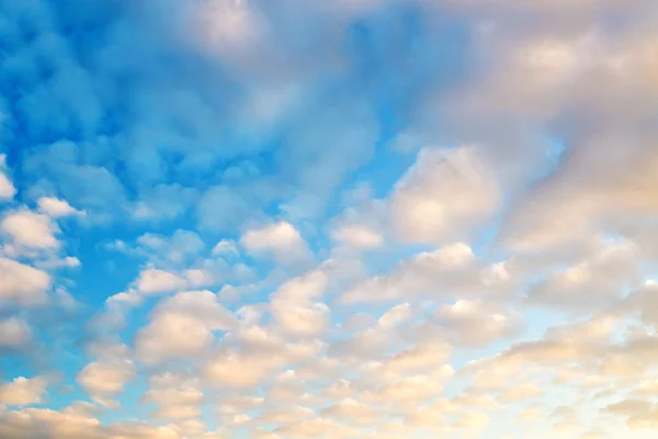 Pink clouds in the evening sky — Stock Photo, Image