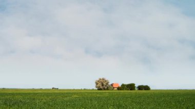 Tarımsal küçük buğday alan bir ev ve mavi gökyüzü bulutlar ile
