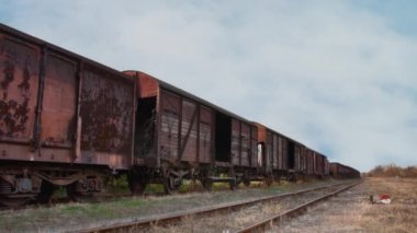 Kargo konteyner ile eski tren