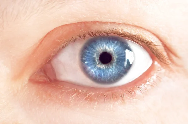 Beutiful female blue eye — Stock Photo, Image