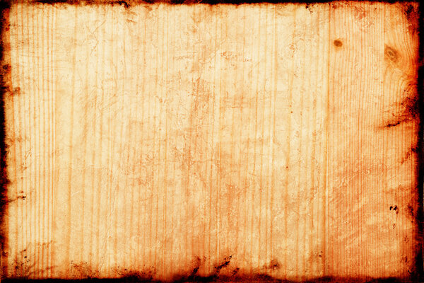 Old Beech wood texture