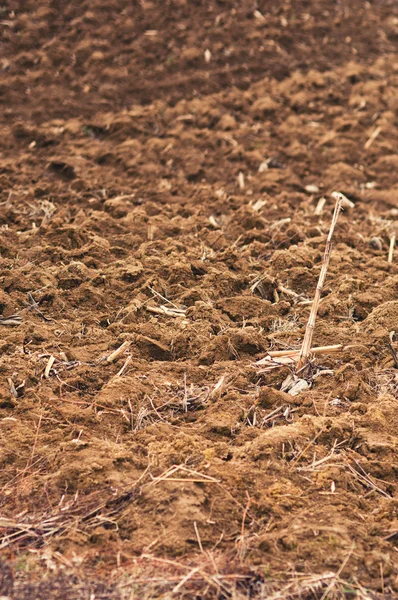 Plowed agriculture — Stock Photo, Image