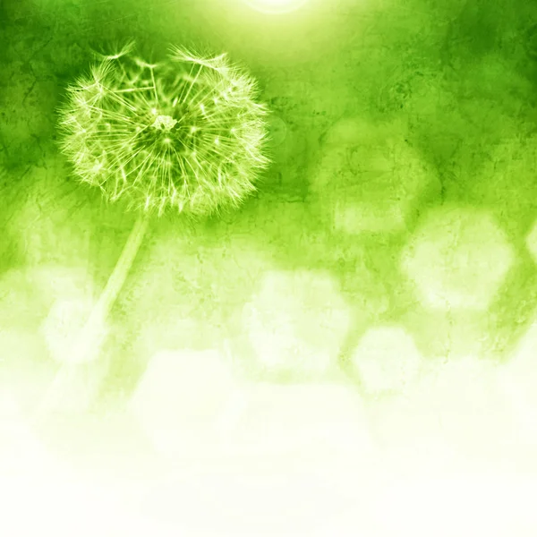 Dandelion and Bokeh abstract background — Stock Photo, Image