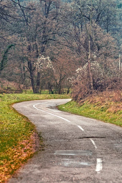 Klikaté silnice zatáčí prostřednictvím podzimní stromy. — Stock fotografie