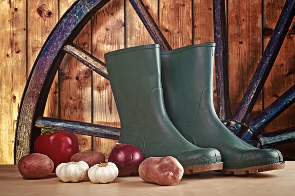 Rubber boots and various vegetable — Stock Photo, Image