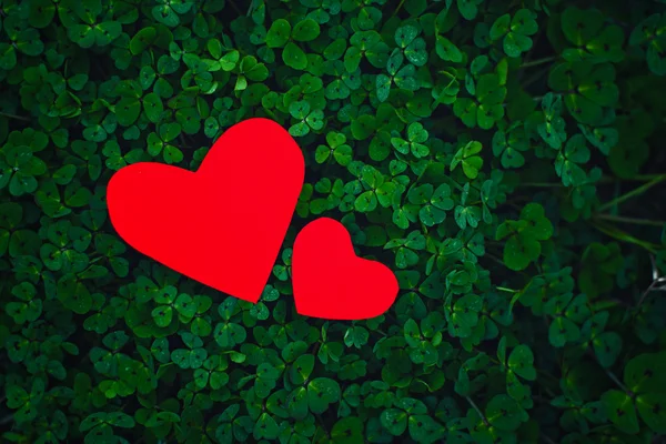 Corazones de papel rojo en trébol verde — Foto de Stock