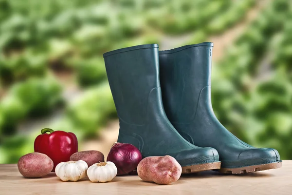 Botas de goma y vegetales diversos —  Fotos de Stock