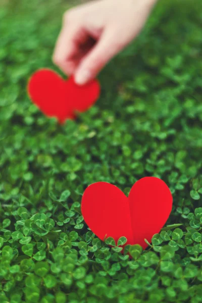 Red paper hearts in green clover — Stock Photo, Image