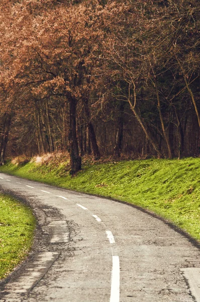 Courbes sinueuses à travers les arbres d'automne . — Photo