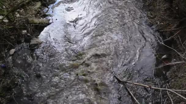 Contaminación del agua. Aguas residuales que fluyen y contaminan el entorno . — Vídeo de stock