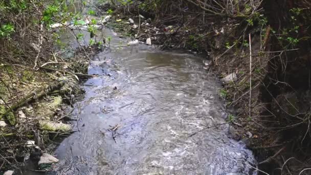 Pollution de l'eau. Écoulement des eaux usées et environnement polluant . — Video