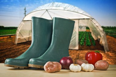 Rubber boots and various vegetable with greenhouse in background clipart