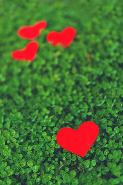 Red paper hearts in green clover — Stock Photo, Image