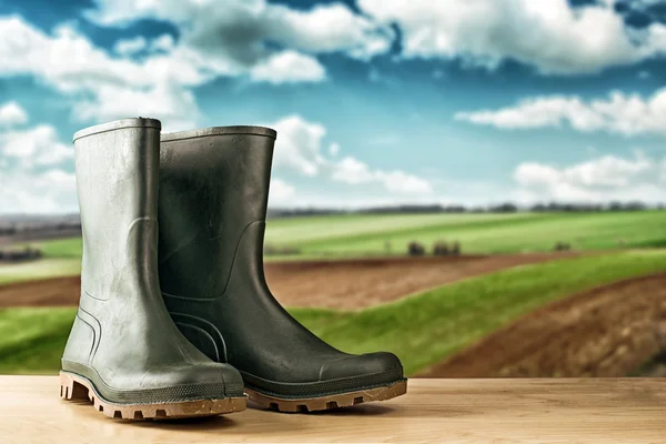 Green rubber boots for garden work — Stock Photo, Image