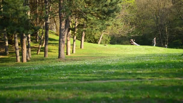 人々"kamenicki： ドナウ川のほとりの公園。人々 が歩いて、ベンチに座って自転車に乗って. — ストック動画