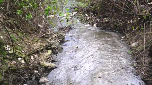 Wasserverschmutzung. Fließende Abwässer und Umweltverschmutzung. — Stockvideo
