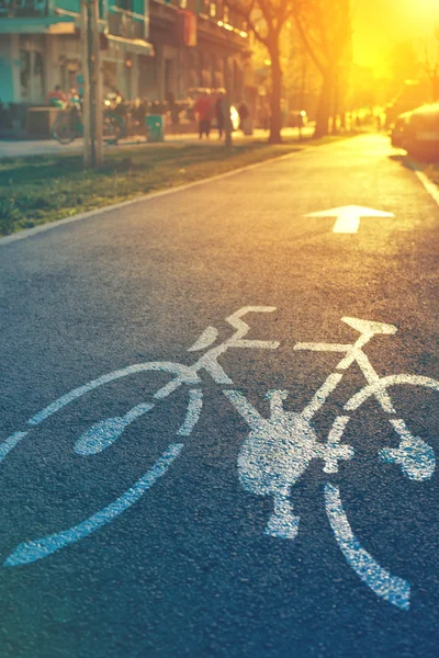 Marque de voie cyclable dans la rue — Photo