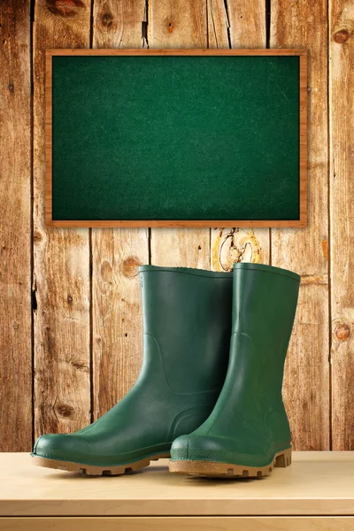 Green rubber boots for garden work — Stock Photo, Image