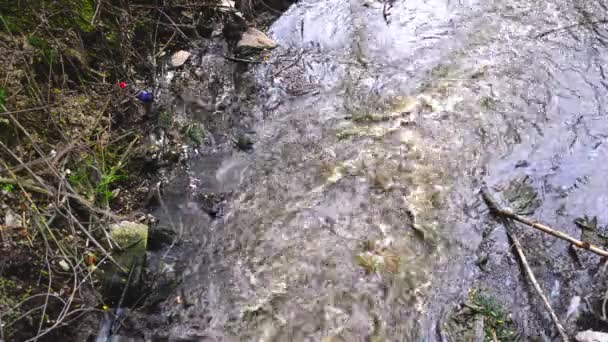 Pollution de l'eau. Écoulement des eaux usées et environnement polluant .