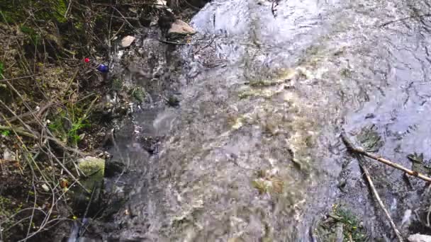 Contaminación del agua. Aguas residuales que fluyen y contaminan el entorno . — Vídeos de Stock