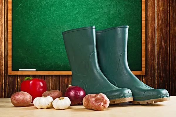 Bottes en caoutchouc et divers légumes — Photo