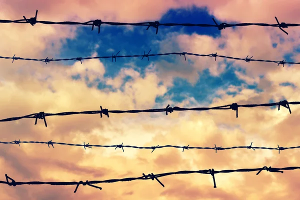 Silhouetted barbed wire — Stock Photo, Image