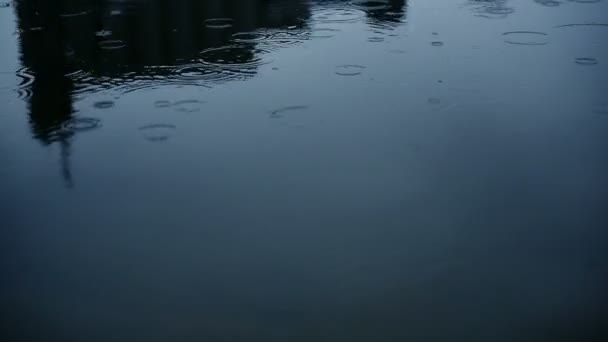 Gocce di pioggia sulla superficie del fiume — Video Stock