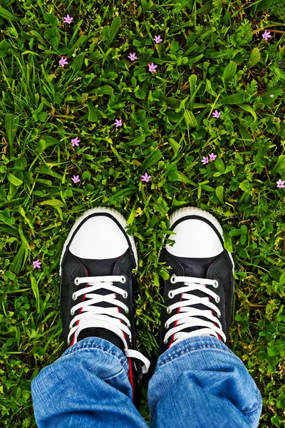 In piedi in erba fresca di primavera — Foto Stock
