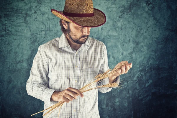 Farmář s slaměný klobouk drží uši pšenice — Stock fotografie