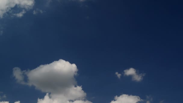 Vögel fliegen an einem strahlenden Sommertag über den blauen Himmel. Taubenschwarm gegen bewölkten Himmel. — Stockvideo