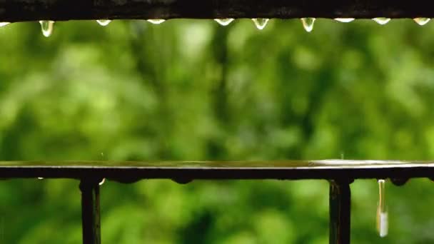 Wassertropfen auf Metallzaun während des stürmischen Sommerregens. — Stockvideo