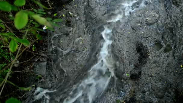 Contaminación del agua. Aguas residuales que fluyen y contaminan el entorno . — Vídeos de Stock