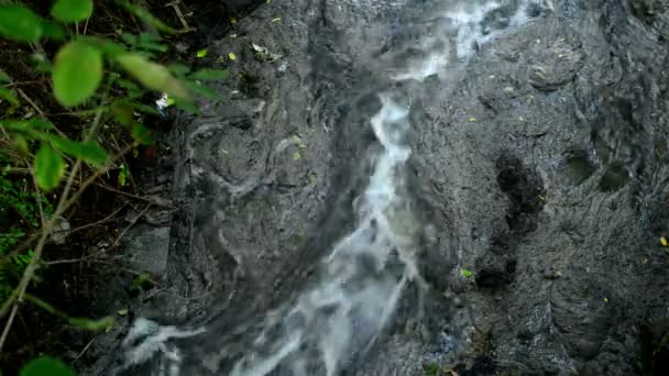 Contaminación del agua. Aguas residuales que fluyen y contaminan el entorno . — Vídeo de stock