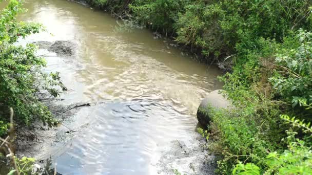 Znečištění vody. odpadní vody tekoucí a znečišťující životní prostředí. — Stock video