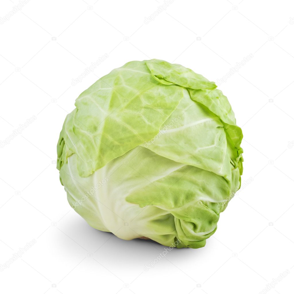Whole Green Cabbage on white background