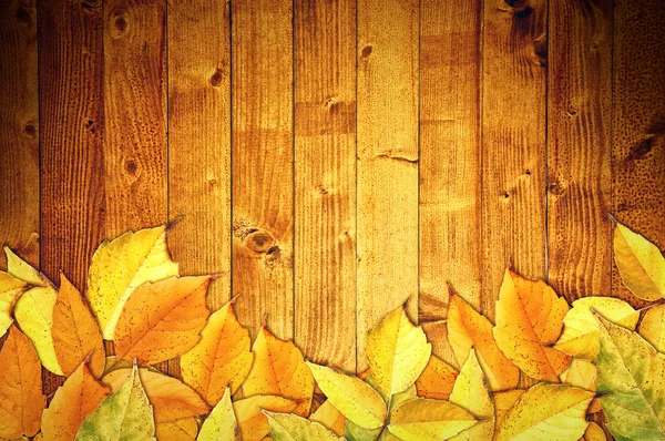 Frunze de toamnă pe fundal din lemn — Fotografie, imagine de stoc