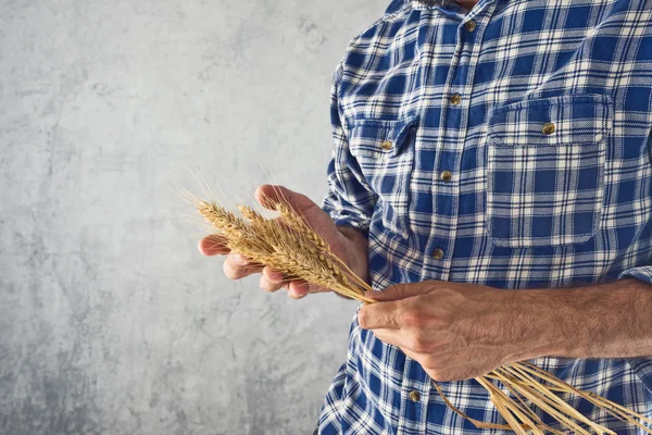 Agricultor com espigas de trigo — Fotografia de Stock