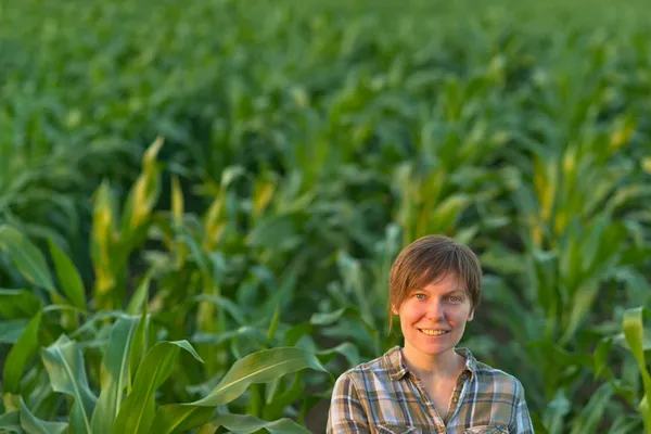 Nő mezőgazdasági termelő kukorica zöld mezőben — Stock Fotó