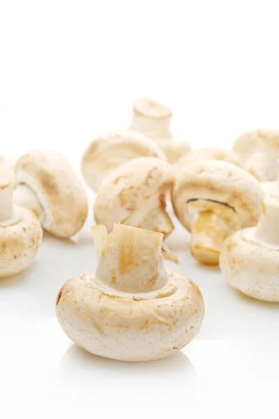 Cogumelo Portabello comestível fresco Champignon sobre backgroun branco — Fotografia de Stock