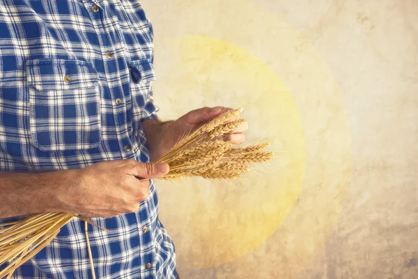 Farmer holding wheat ears — Stock Photo, Image