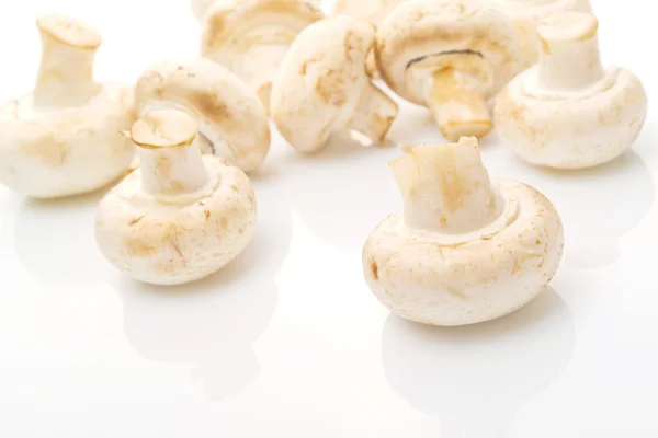Μανιτάρι champignon φρέσκο βρώσιμα portabello πάνω από το λευκό αμουδερές — Φωτογραφία Αρχείου