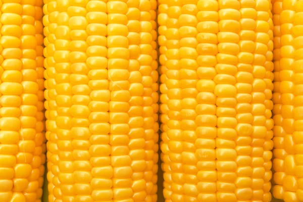 Corn Cob woith golden seed — Stock Photo, Image